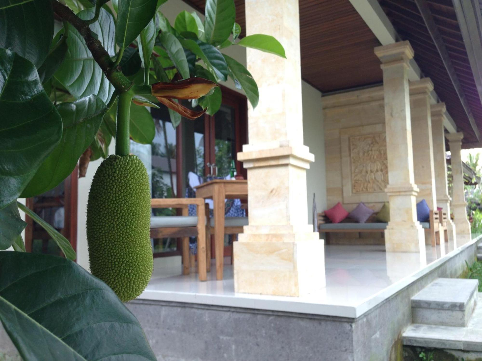 Masia Villa Ubud, Ubud